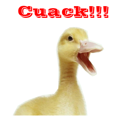 Cuack.gif