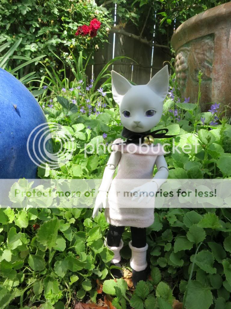 temple of angels cerise dream