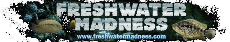 Freshwater Madness