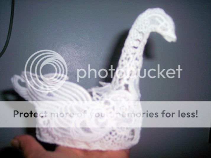 swan2.jpg