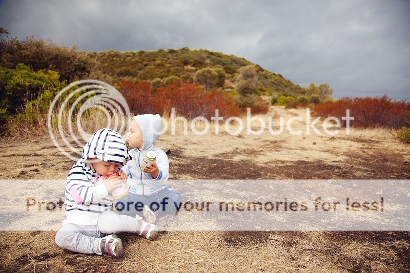 photo IMG_0377_zps2c626a7f.jpg