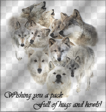  photo Wolves-39.gif