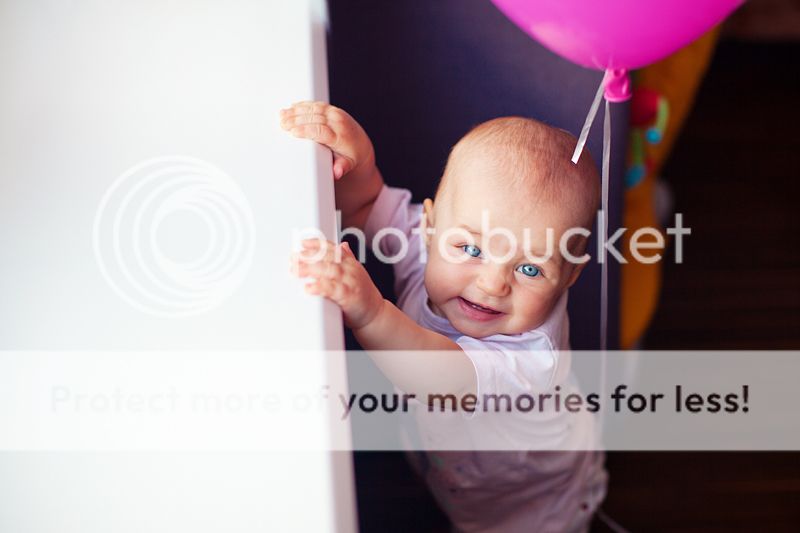 photo IMG_7623_zps81c94157.jpg