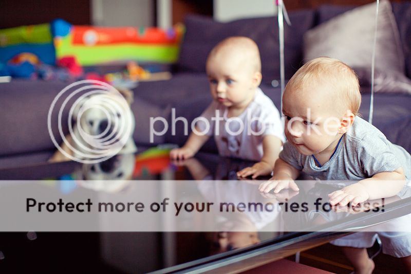 photo IMG_7668_zpsb5054f80.jpg