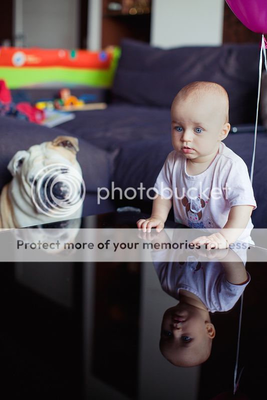 photo IMG_7670_zps8673cb0d.jpg