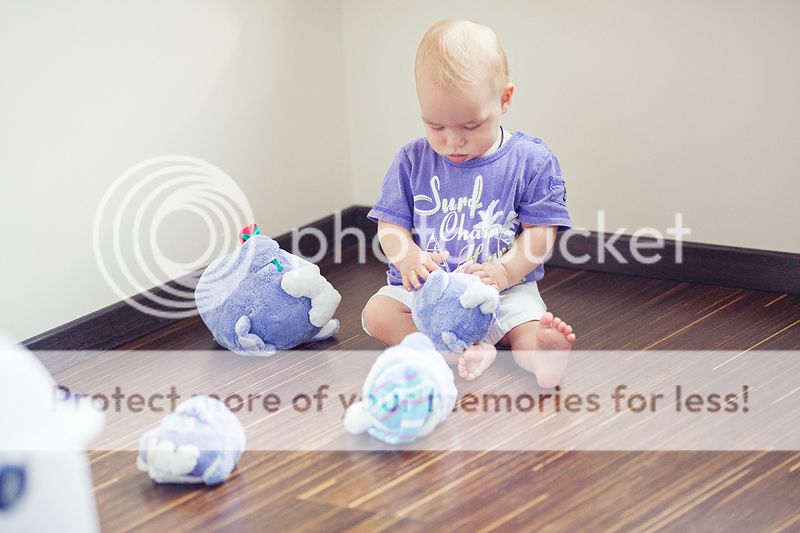 photo IMG_7732_zpsa70856f9.jpg