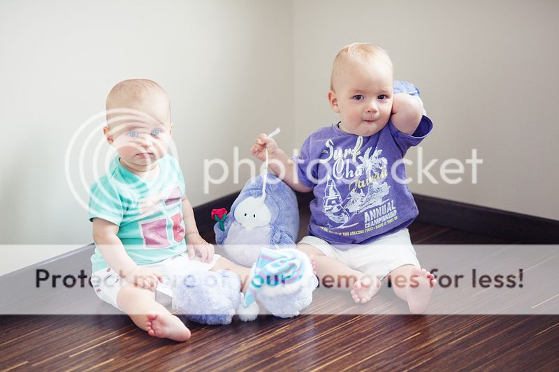 photo IMG_7733_zps17856619.jpg