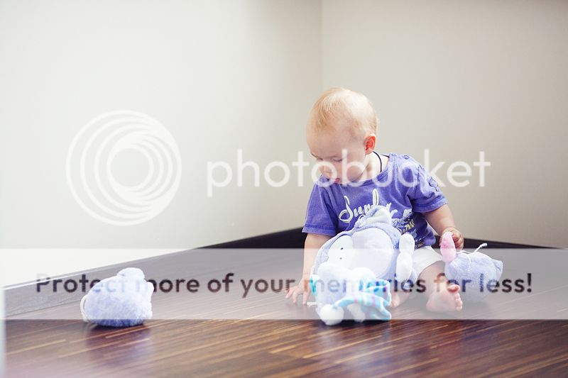 photo IMG_7738_zpse9bbf255.jpg