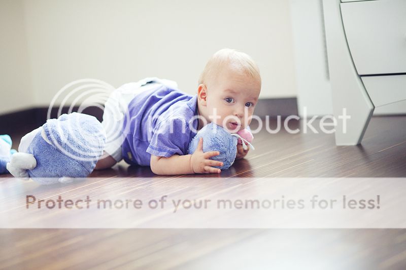 photo IMG_7742_zpsfd2d7a99.jpg