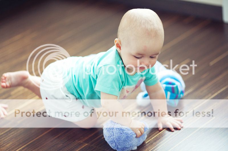 photo IMG_7745_zpscb81c4a7.jpg