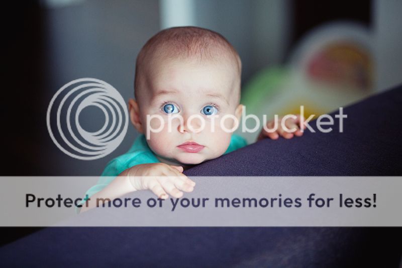 photo IMG_7754_zps5ecd886c.jpg