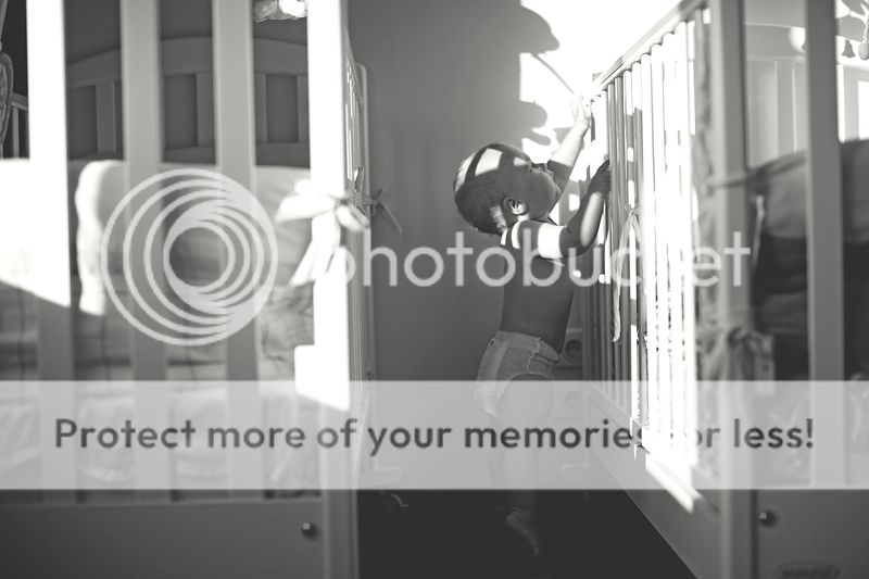 photo IMG_7773_zps3950e702.jpg