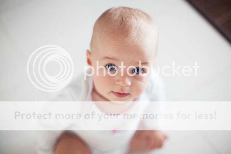 photo IMG_7794_zps78bb6da4.jpg