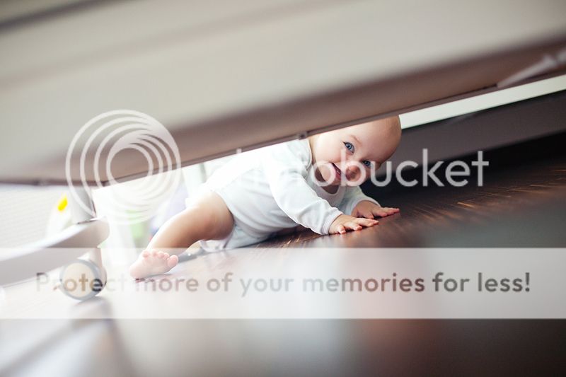 photo IMG_7842_zpsf3d27287.jpg