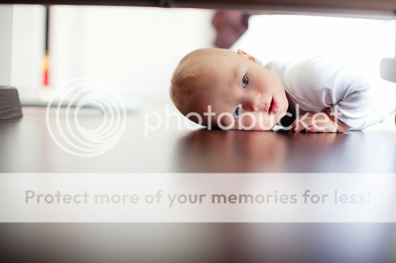 photo IMG_7860_zps988c1e34.jpg