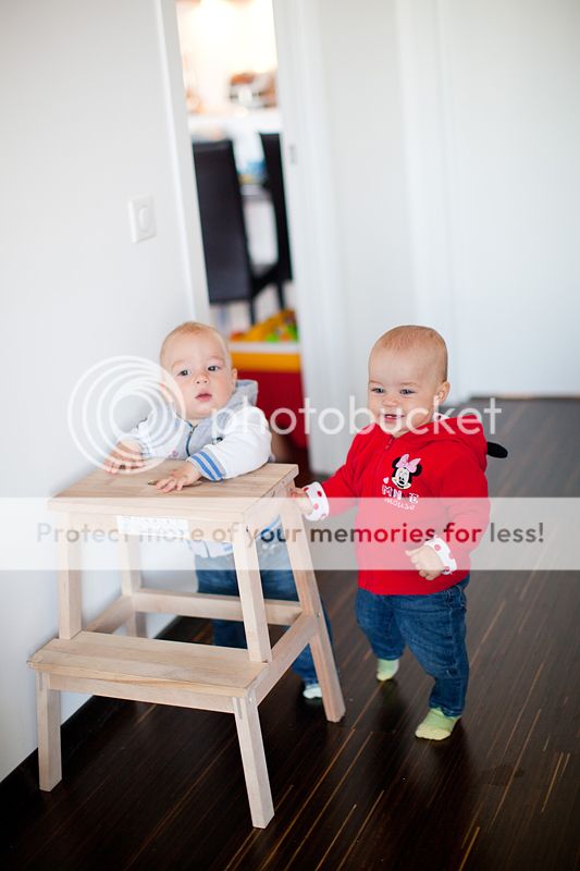 photo IMG_7909_zps91a2459f.jpg