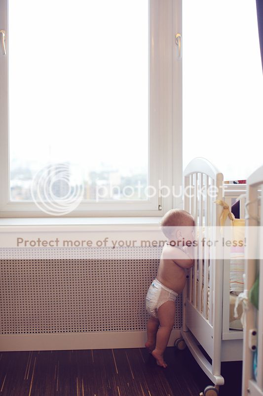 photo IMG_7962_zps24fa17c3.jpg