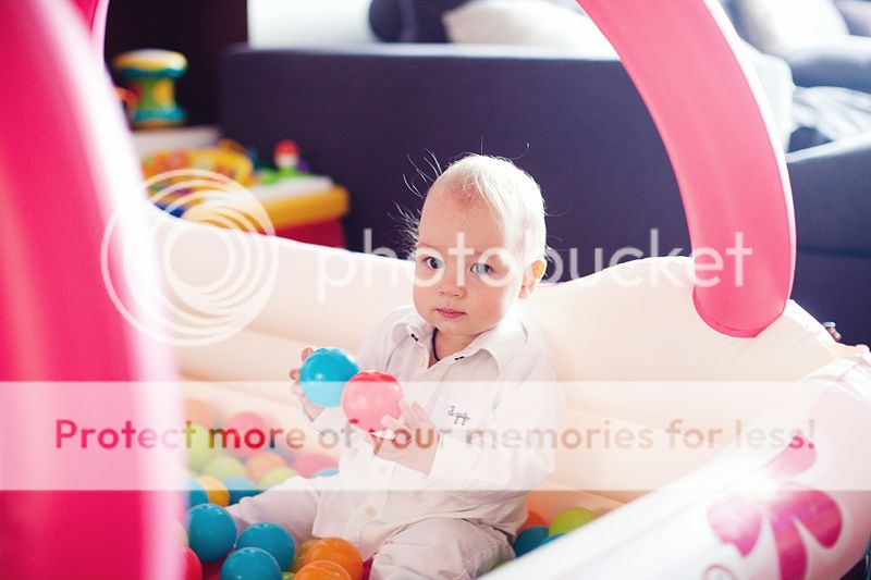 photo IMG_8455_zpsdcea7e62.jpg