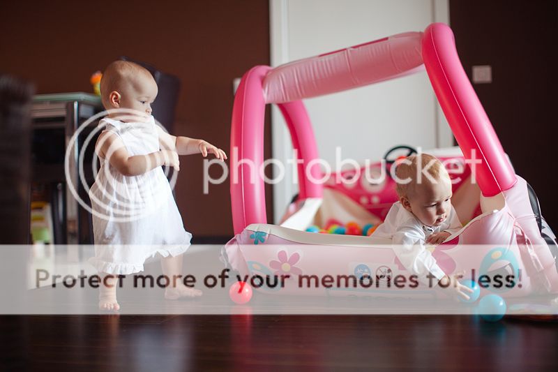 photo IMG_8464_zpsccdb3835.jpg