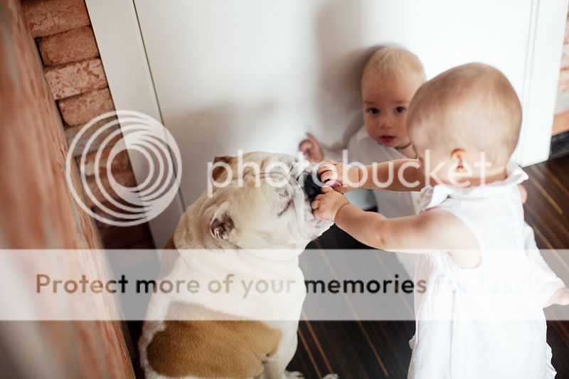 photo IMG_8603_zps3cf287c8.jpg