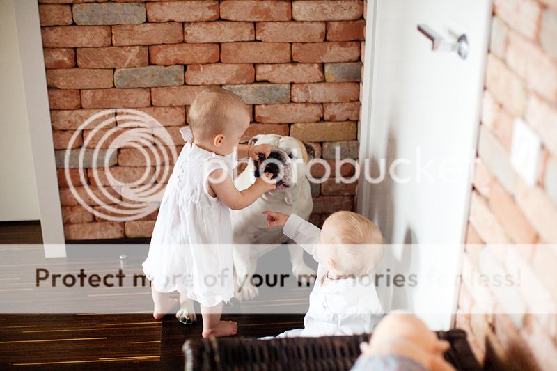 photo IMG_8611_zps10b34db0.jpg