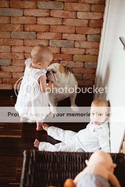 photo IMG_8617_zpsc26a43b8.jpg