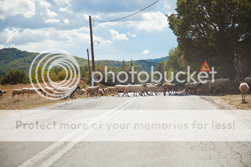 photo IMG_0004_zps28346d7e.jpg