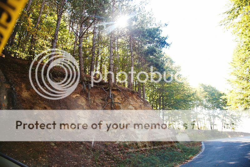 photo IMG_0045_zps9d72b318.jpg