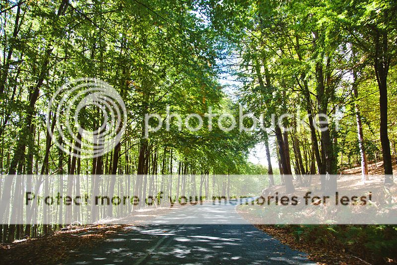 photo IMG_0046_zpsd60b7651.jpg