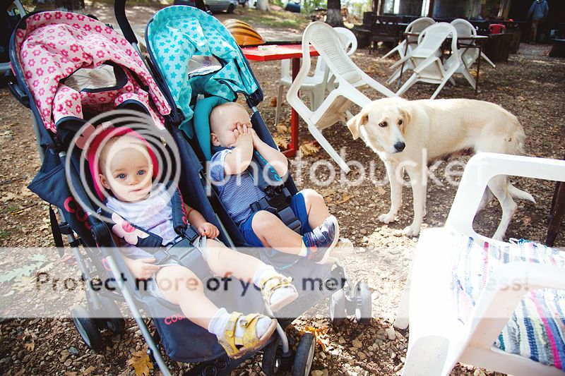 photo IMG_0094_zps98e727f5.jpg