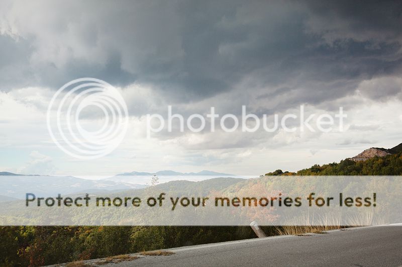 photo IMG_0098_zps3da29f46.jpg