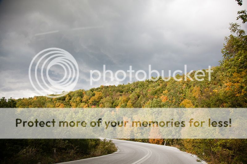 photo IMG_0099_zpscff227d8.jpg