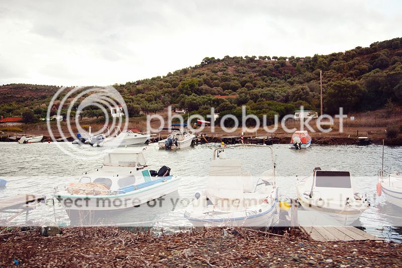 photo IMG_0214_zpse78a3b8f.jpg