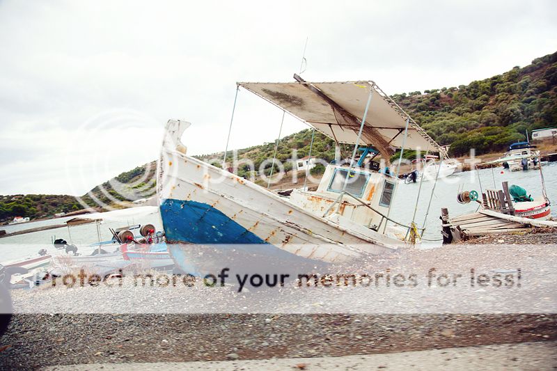 photo IMG_0220_zpsb84b5486.jpg