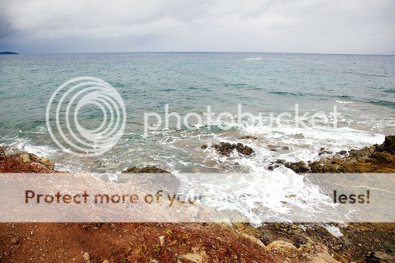 photo IMG_0240_zps45a60048.jpg