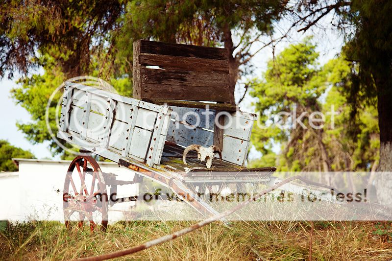 photo IMG_9282_zpsca331bd3.jpg