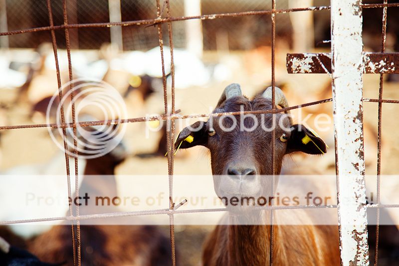 photo IMG_9300_zps1317be46.jpg