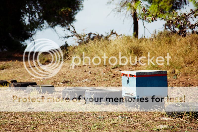 photo IMG_9307_zps1bac9de1.jpg