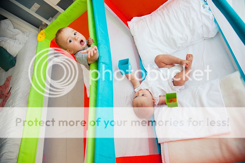 photo IMG_9666_zps5994214b.jpg