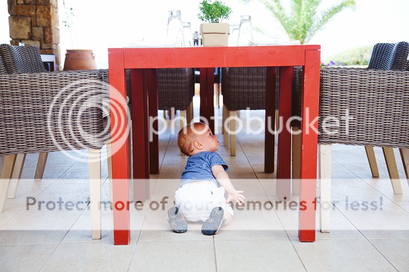 photo IMG_9706_zps6c3c4952.jpg