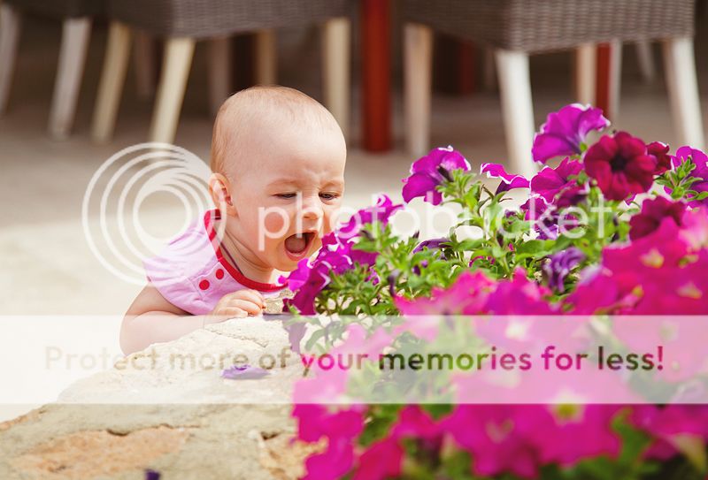 photo IMG_9865_zps13a569af.jpg