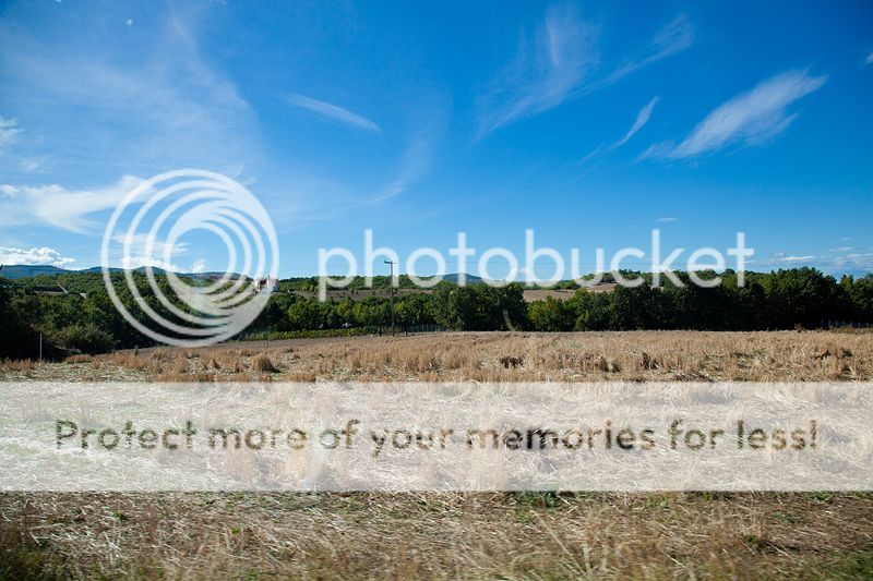 photo IMG_9941_zps53839d53.jpg