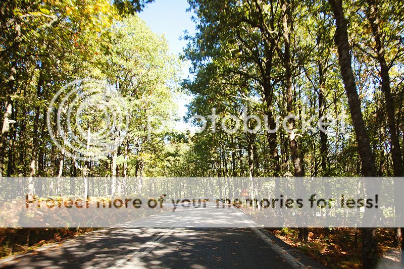 photo IMG_9949_zps00181831.jpg