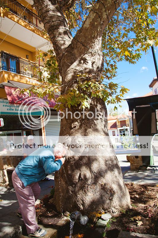 photo IMG_9984_zpsad4d7418.jpg