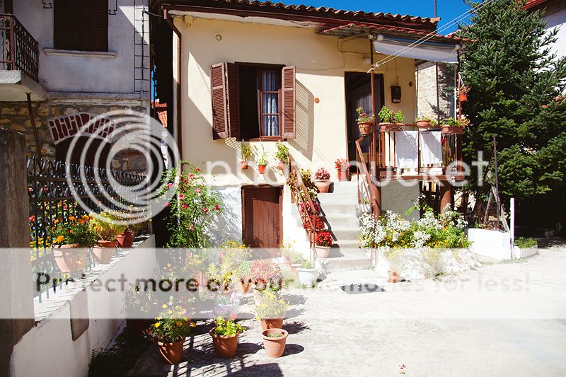 photo IMG_9992_zps52367f4c.jpg